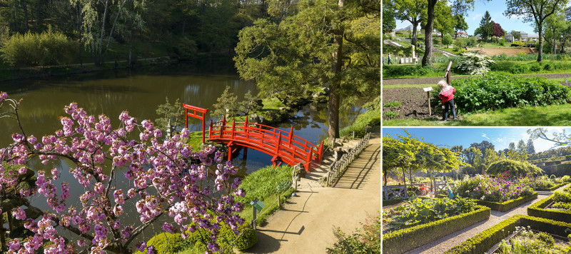 Parc Oriental - Camifolia - potager Colbert