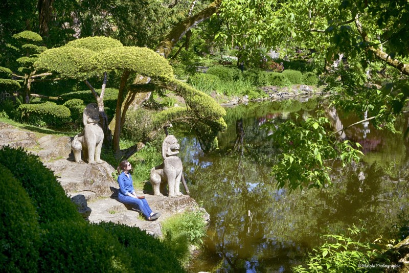 parc-oriental-maulevrier-49 - © Matyld Photographie Cholet tourisme parc oriental maulévrier plus grand jardin japonais d'europe incontournable zen