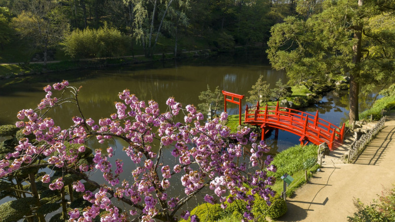 parc-oriental-maulevrier-49 - © Mehdi Media Cholet tourisme parc oriental maulévrier plus grand jardin japonais d'europe incontournable zen