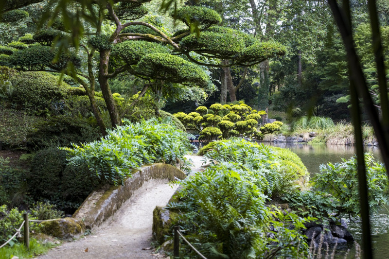 parc-oriental-maulevrier-49 - © Mehdi Media Cholet tourisme parc oriental maulévrier plus grand jardin japonais d'europe incontournable zen