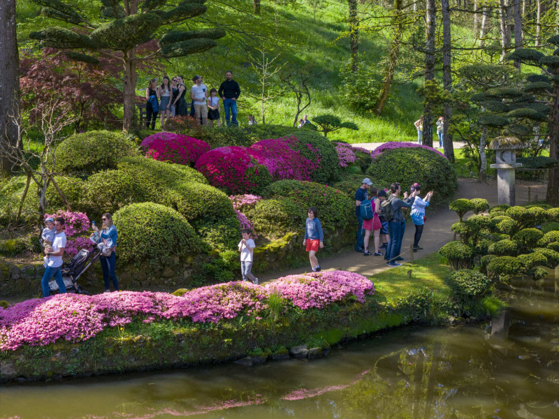 Cholet tourisme parc oriental maulévrier plus grand jardin japonais d'europe incontournable zen 