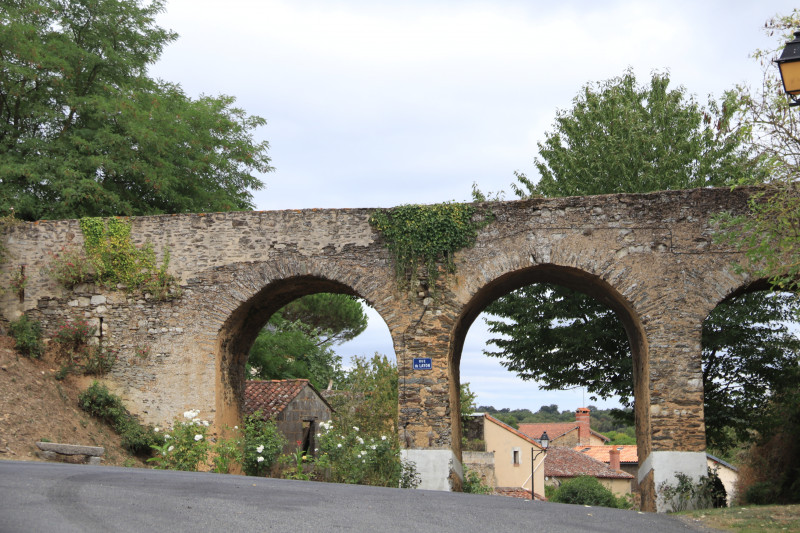 passavant-sur-layon-2019-49-c-catherine-fonteneau-11-2852328