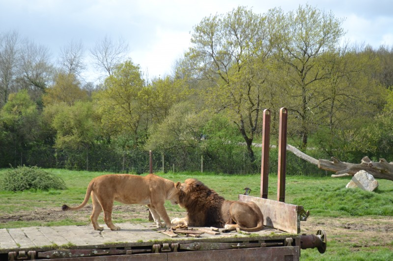 planète-sauvage-port-saint-pere - © Christelle GRENOUILLEAU CHAVASSIEUX planète-sauvage-port-saint-pere