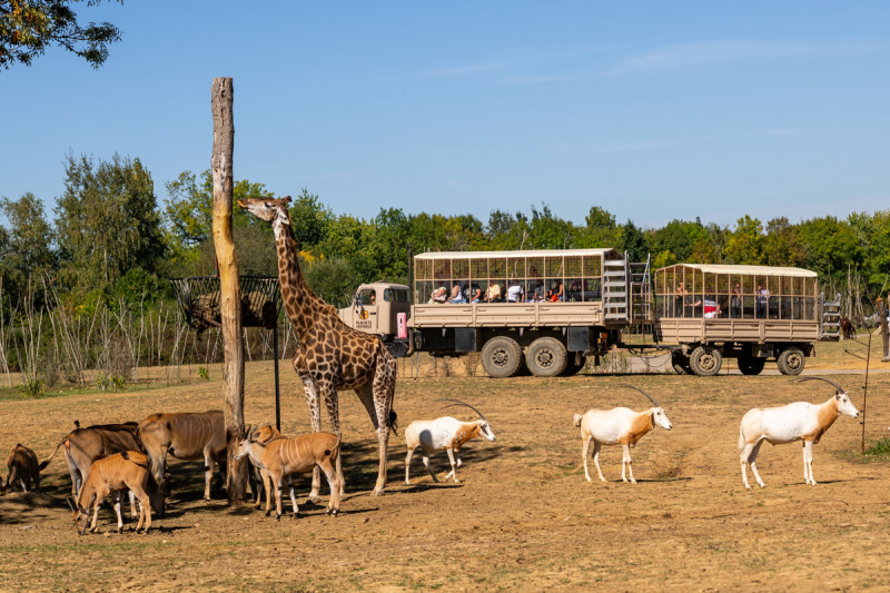 Cholet tourisme nature parc animalier zoo planète sauvage safari africain