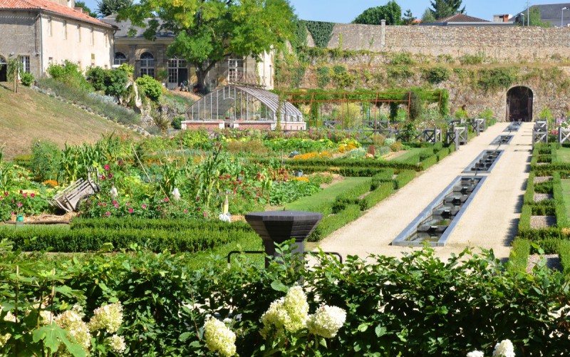 potager-du-chateau-colbert-maulévrier-49 - © Château Colbert potager-du-chateau-colbert-maulévrier-49