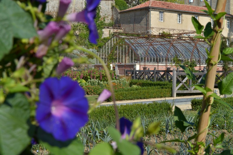 potager-du-chateau-colbert-maulévrier-49 - © Château Colbert potager-du-chateau-colbert-maulévrier-49