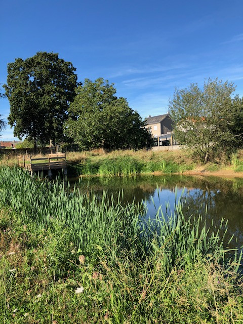 promenons-nous-a-begrolles-en-mauges-49