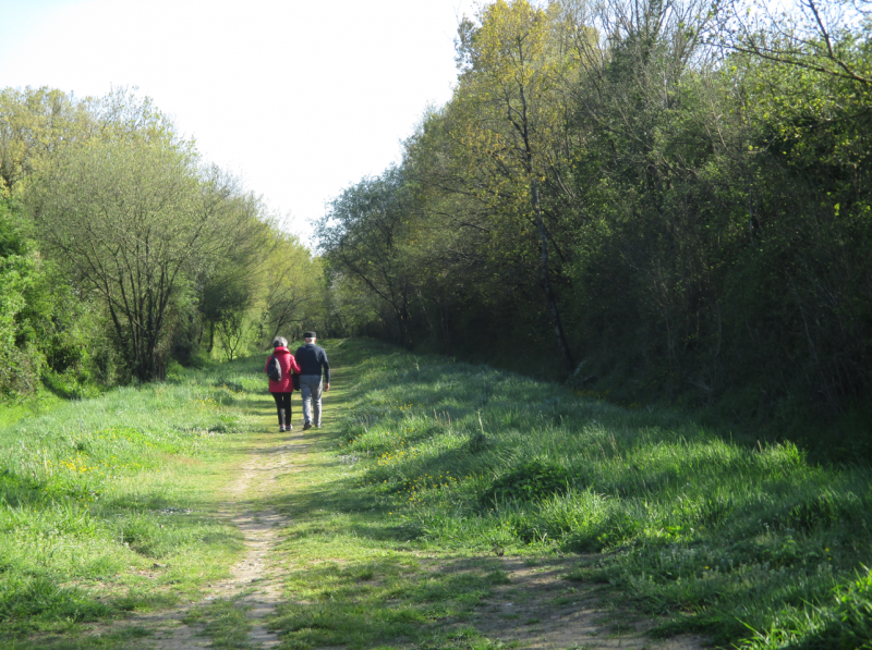 Promenons-nous à Maulévrier - © Dominique Hervé Promenons-nous à Maulévrier