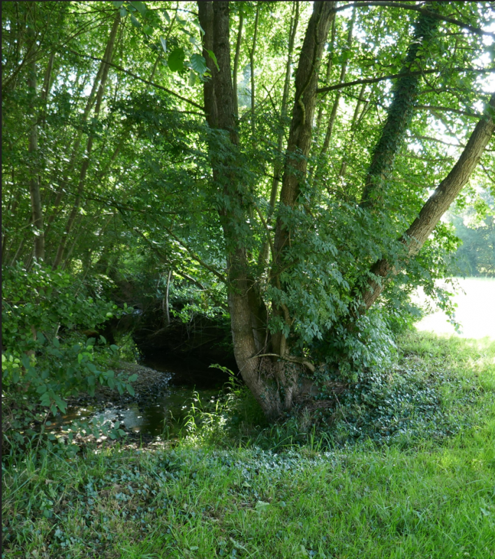 Promenons-nous à Toutlemonde - © Gérard Petit Promenons-nous à Toutlemonde