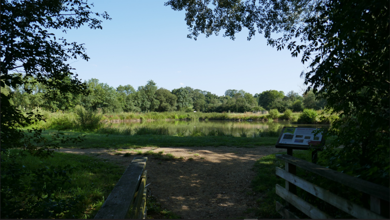 Promenons-nous à Toutlemonde - © Gérard Petit Promenons-nous à Toutlemonde