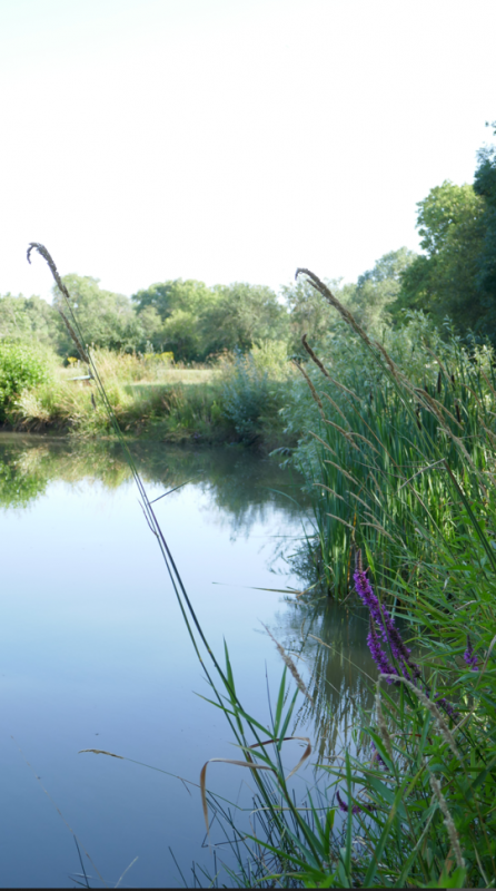 Promenons-nous à Toutlemonde - © Gérard Petit Promenons-nous à Toutlemonde