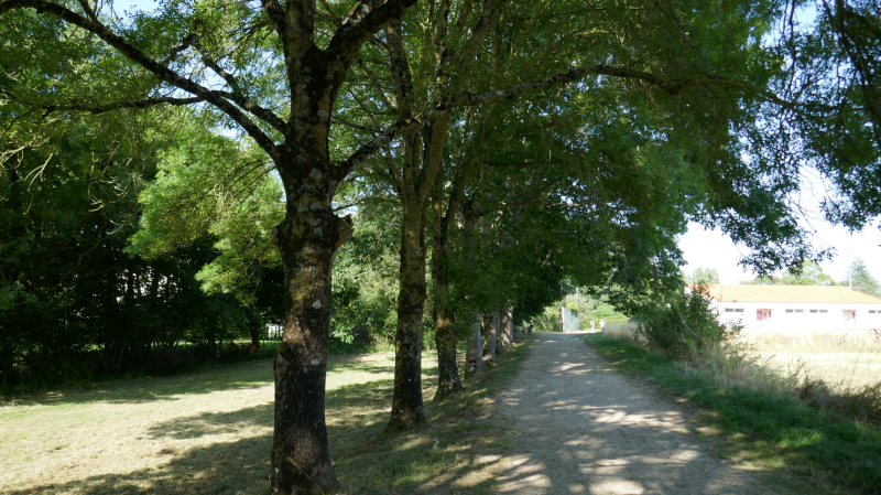 Promenons-nous à Toutlemonde - © Gérard Petit Promenons-nous à Toutlemonde