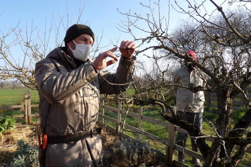 Taille-fruitiers, petits fruits et lianes - © Philippe BOCHEREAU Les Jardins Kit'Eco Yzernay jardin au naturel et permaculture
