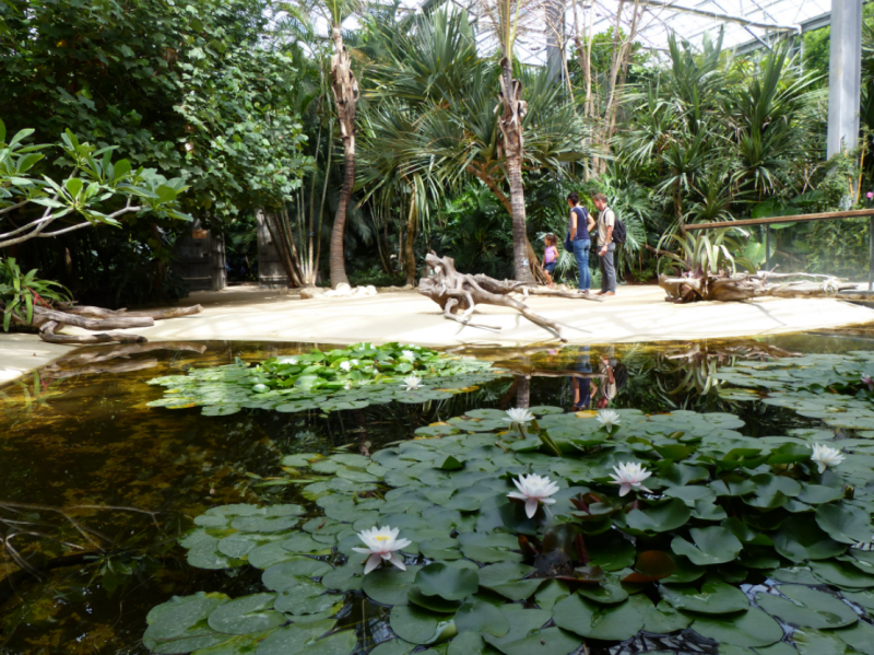 Terra Botanica Angers 49 - © Terra Botanica Terra Botanica Angers 49