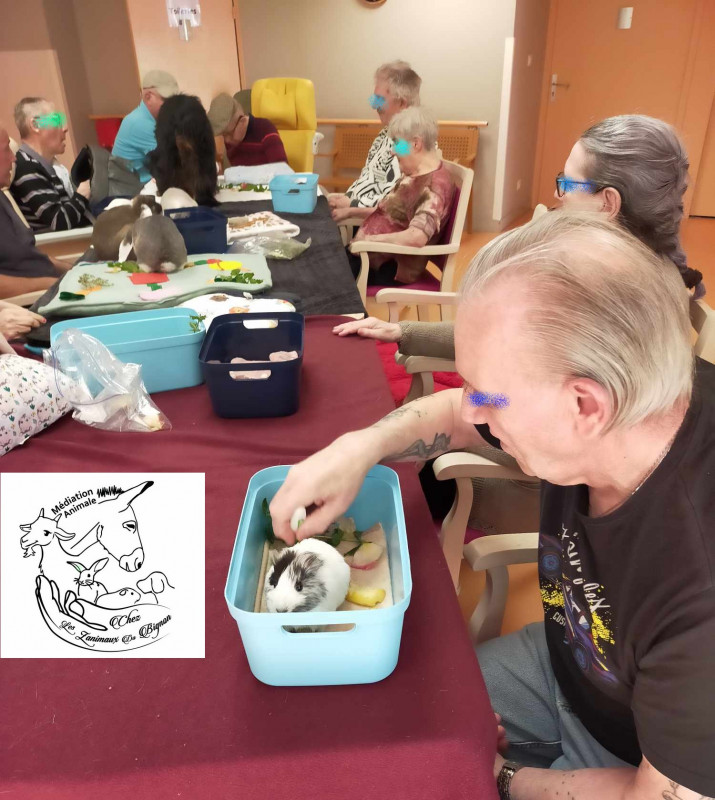 Z'animaux du Bignon Z'animaux du Bignon