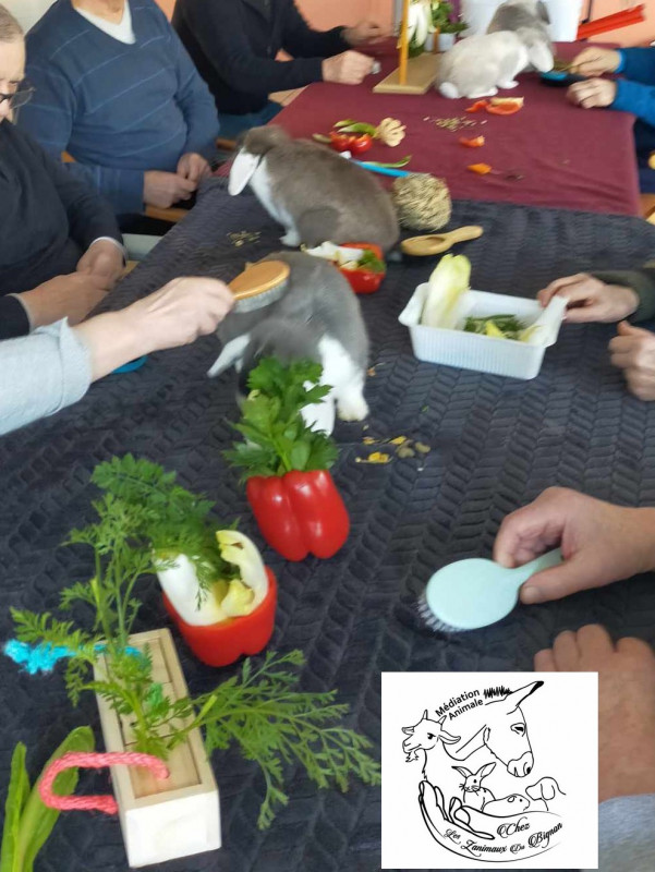 Z'animaux du Bignon