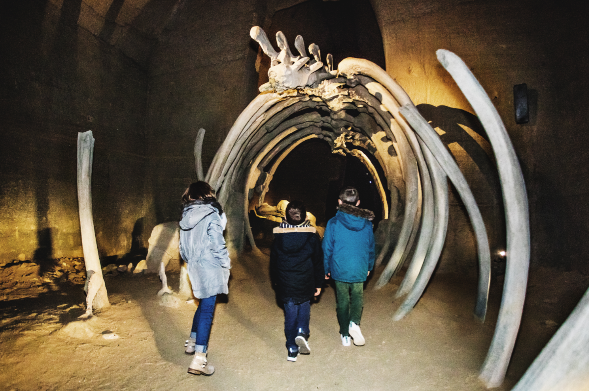 mystere-des-faluns-doue-la-fontaine-49 - &copy; Lesphotographiesdadeline