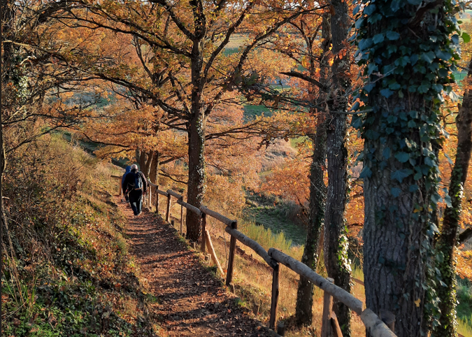 Ribou'cle - © Catherine FONTENEAU Ribou'cle - © Catherine FONTENEAU