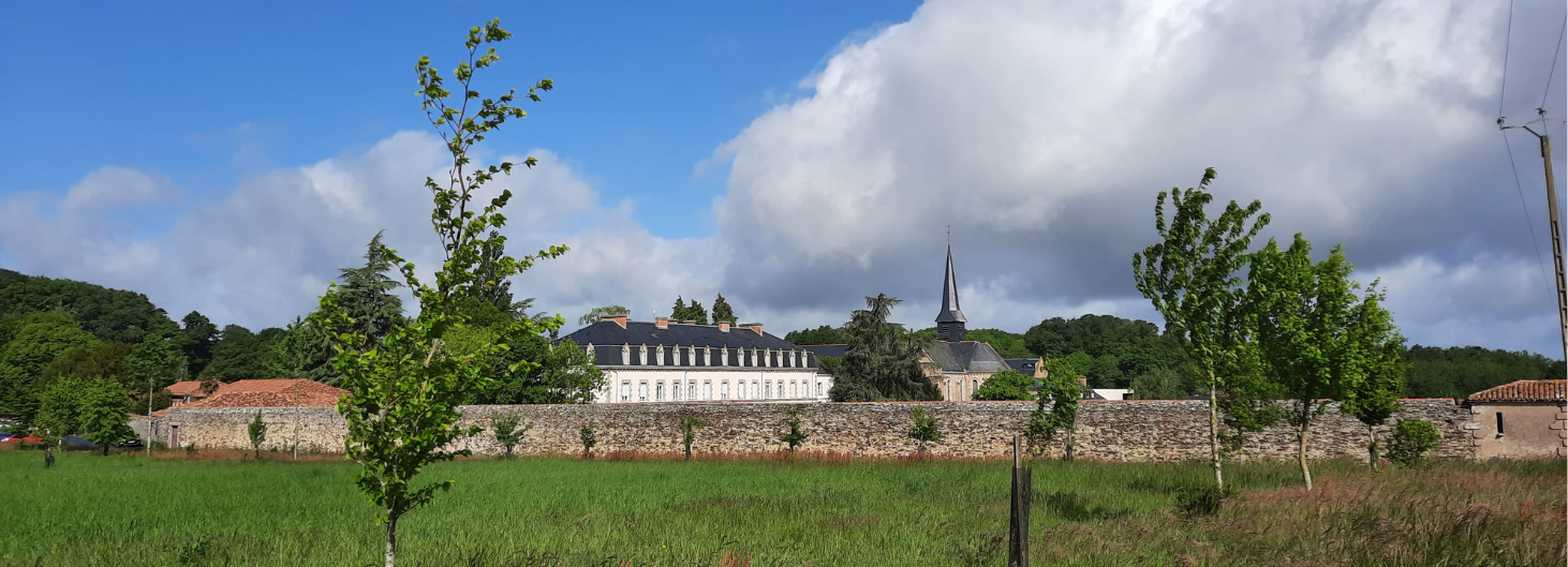 Vallon de l'Abbaye - © Catherine FONTENEAU Vallon de l'Abbaye - © Catherine FONTENEAU