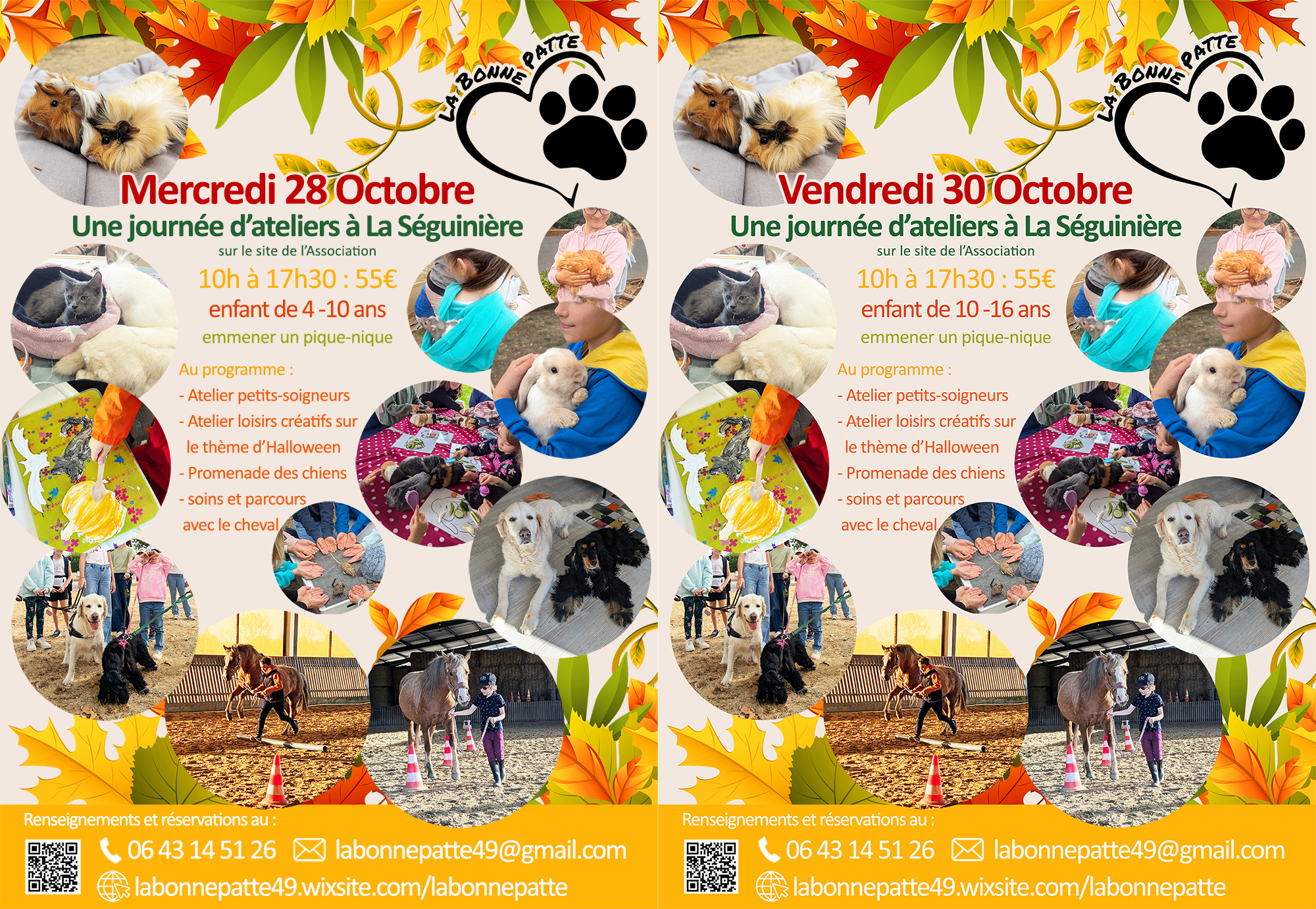 Ateliers enfants - Médiation animale