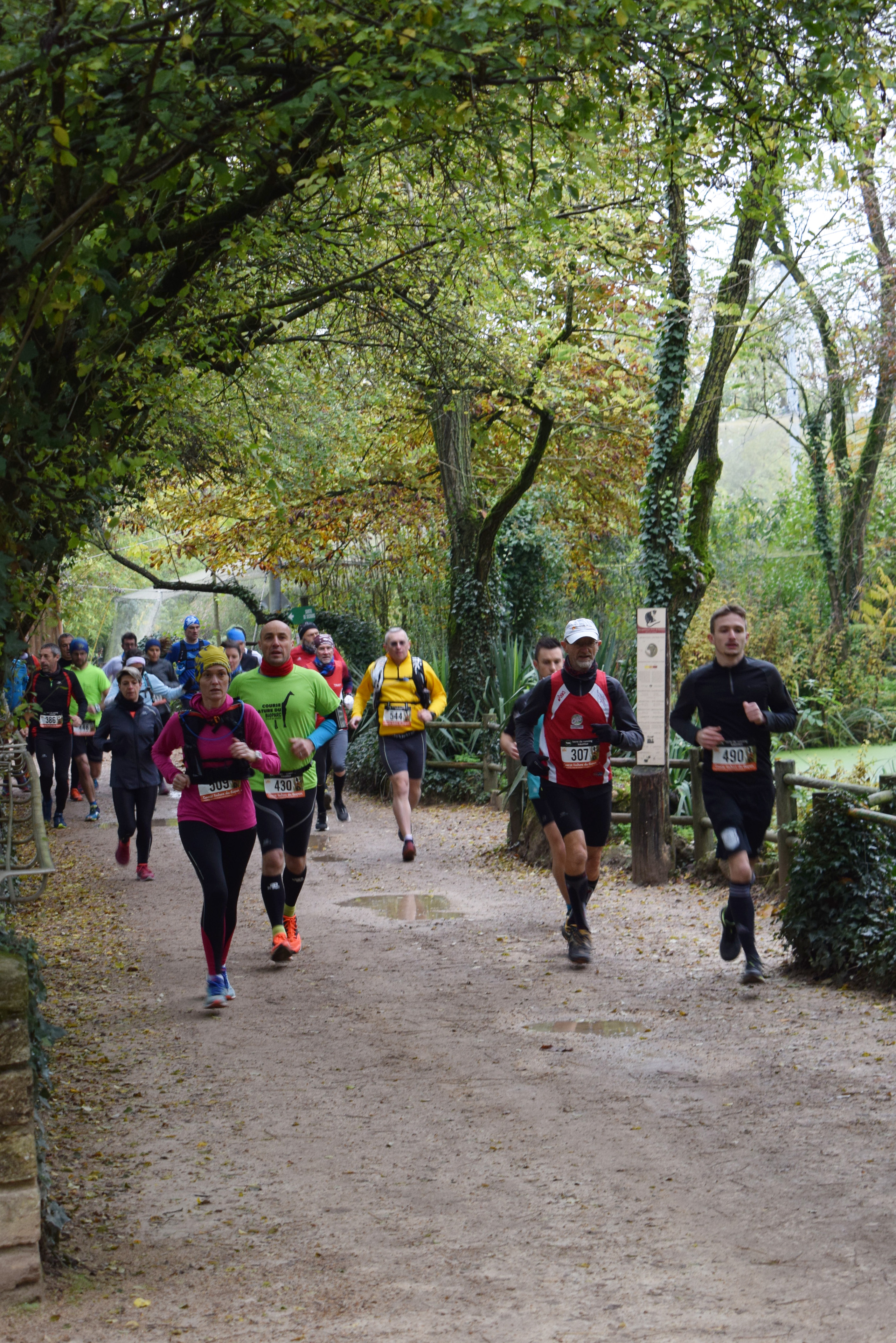 Course Nature du Bioparc, Animaciónes, competición deportiva, Doué-en ...