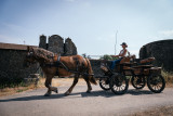 balade en caleche Yzernay 1.jpg