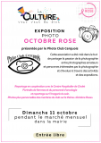 Agenda manifestation Exposition Octobre rose (49) TOUTLEMONDE