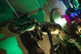 IMG_1810.jpeg