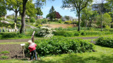 jardin-camifolia-photos-pauline-celle-17-640345