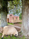 La Tiny House des Gîtes de l'Etangs des Noues