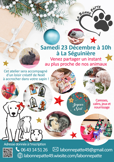 2023-12-23-atelier-petits-soigneurs-644747