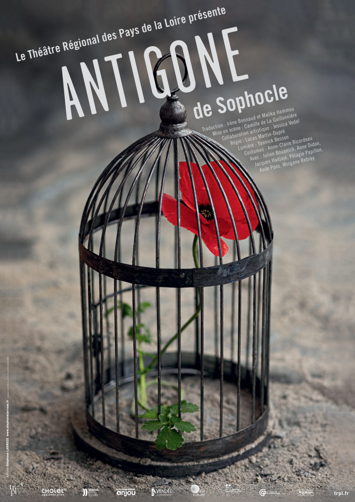 ANTIGONE trpl vihiers
