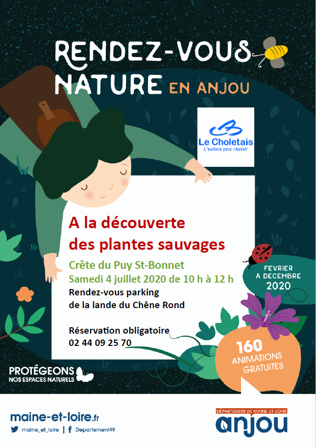 A-la-decouverte-des-plantes-sauvages