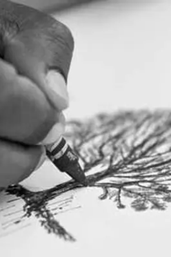 Atelier en famille - Du regard au dessin : initiation au dessin d'observation