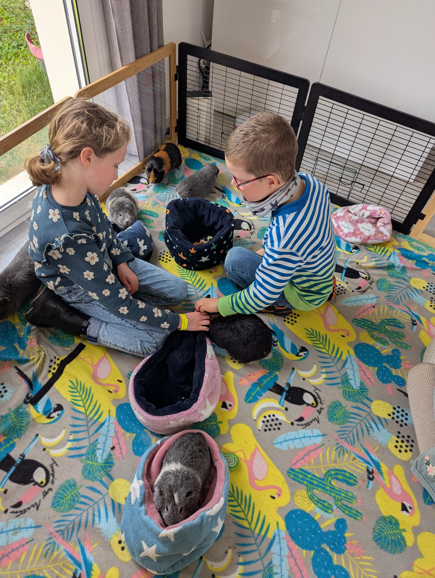 Atelier Petits-soigneurs - © La Bonne Patte Atelier Petits-soigneurs