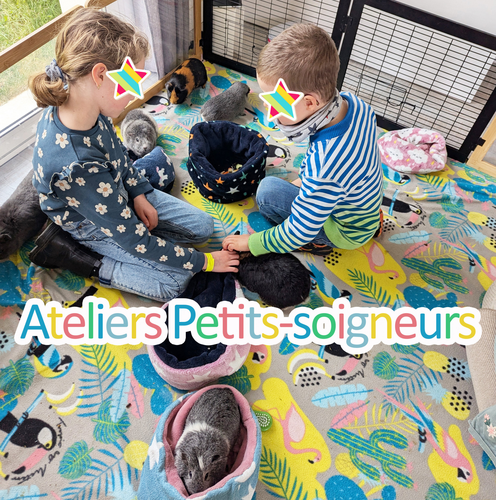 Ateliers petits soigneurs - © La Bonne Patte Agenda manifestation Ateliers petits soigneurs