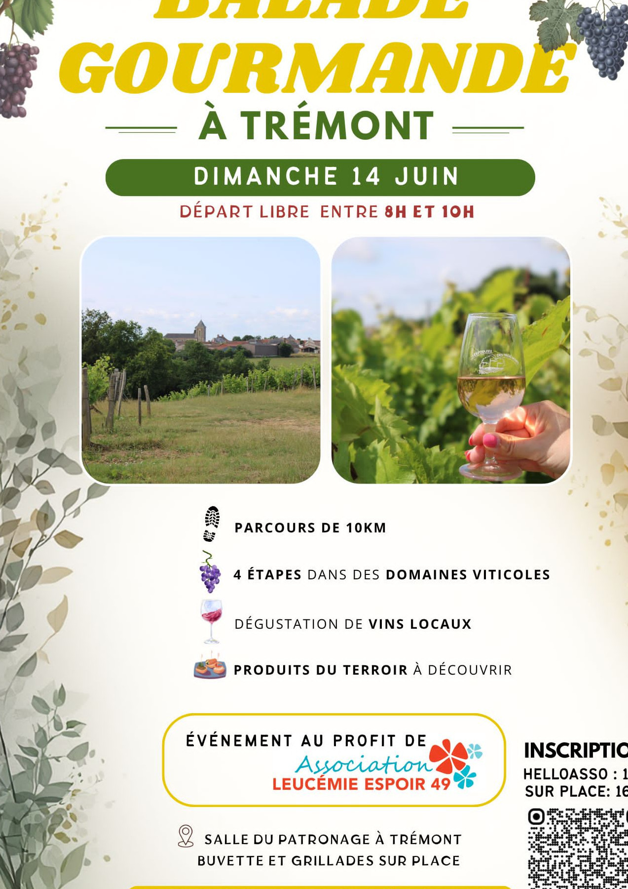 Vin Vigne Vignoble Randonnnée Pédestre Dégustation Produits Locaux Haut-Layon