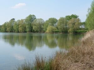 balade-sensorielle-etang-de-peronne-chantelouplesbois-49