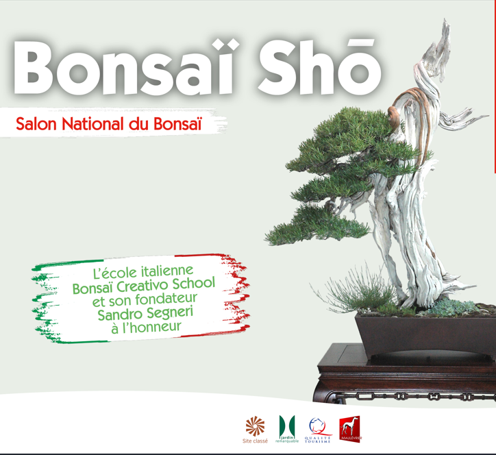 bonsa-sho-parc-oriental-de-maul-vrier-652420