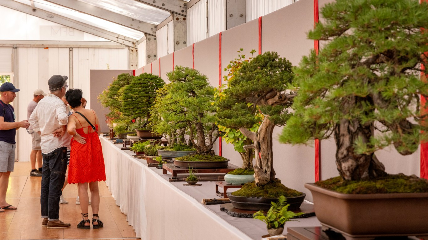 Bonsaï Sho au parc Oriental - © Medhi Média Parc Oriental Bonsaï Animation Maulévrier