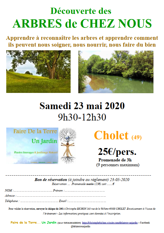 decouverte-arbre-de-chez-nous-cholet-49-476264