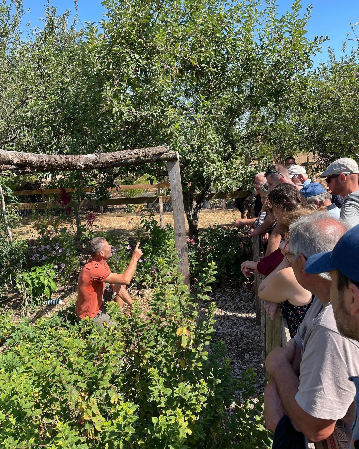 Découverte de la Permaculture : Jardiner sans aucun travail du sol