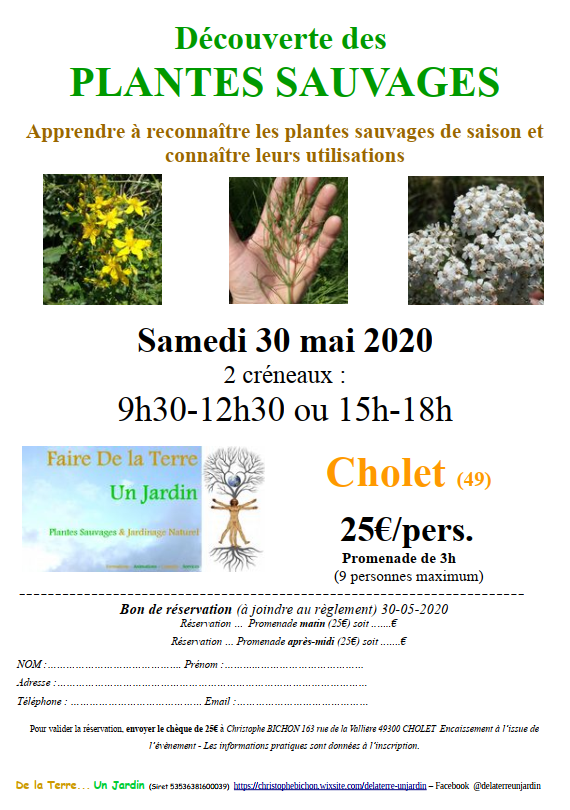 decouverte-plantes-sauvages-cholet-49-476262
