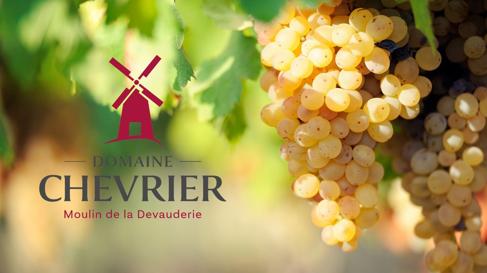 domaine-chevrier-tremont-49 domaine-chevrier-tremont-49