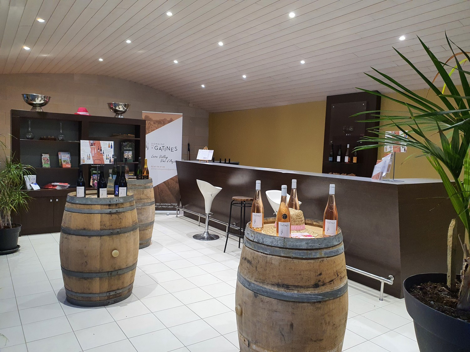 Vin Vigne Vignoble Vigneron Cuvée Dégustation