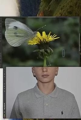 Exposition : Fragments