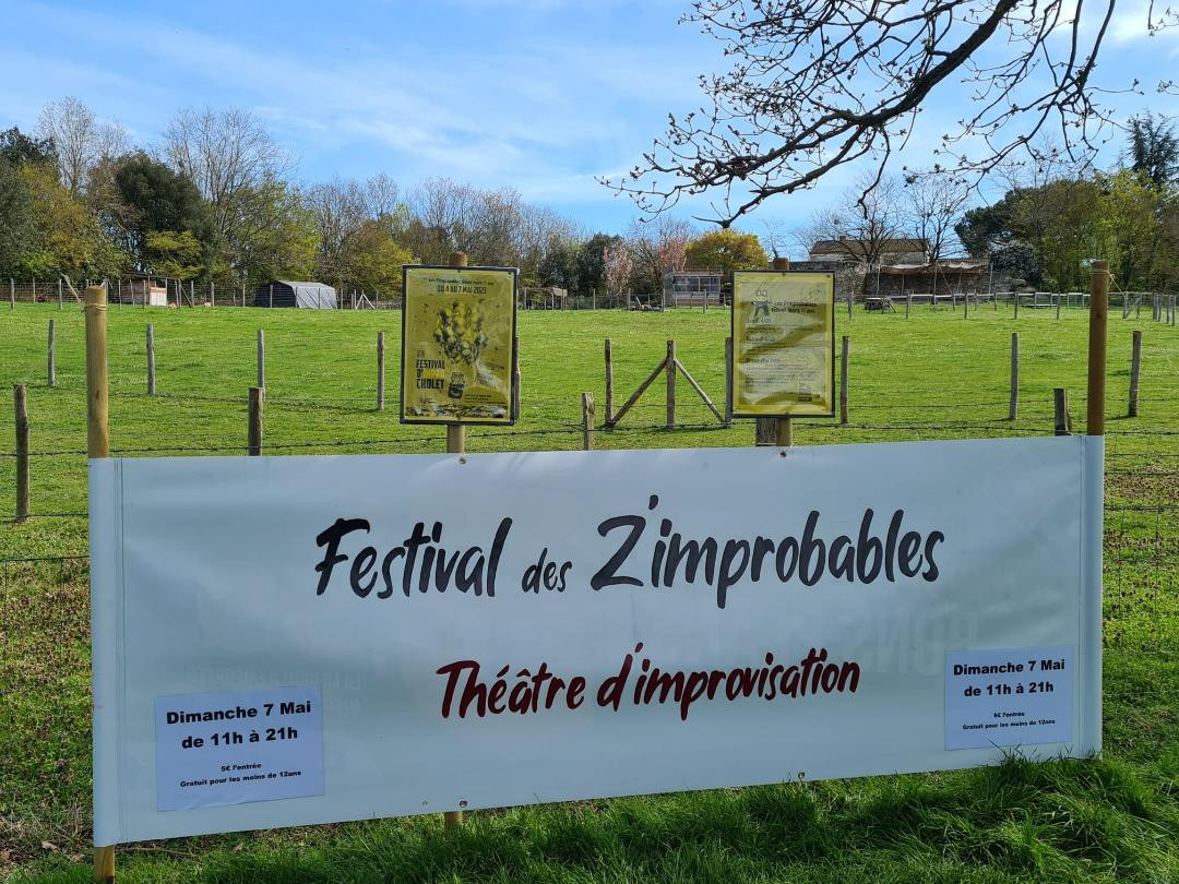 festival-impro-cholet-la-tessoualle-49 - © Les Z'Improbables festival-impro-cholet-la-tessoualle-49