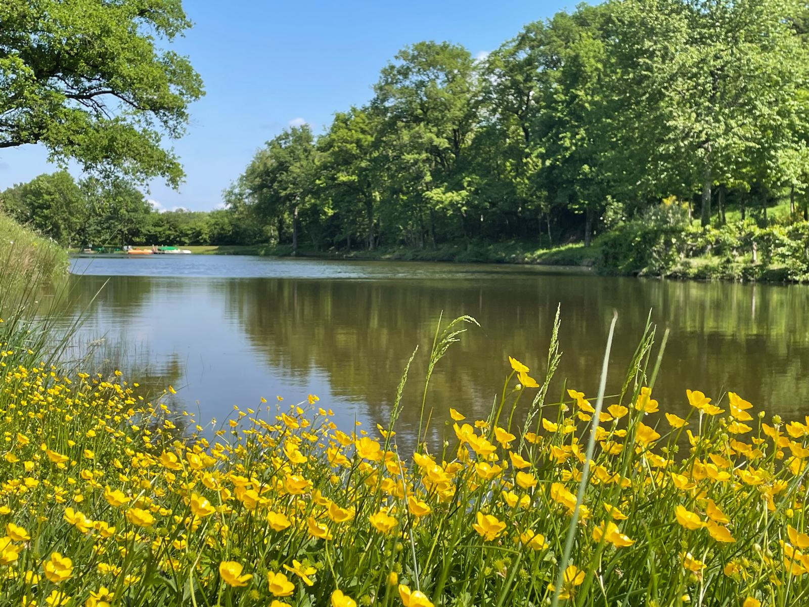 gîtes-les-logis-de-loumois-maulevrier-49
