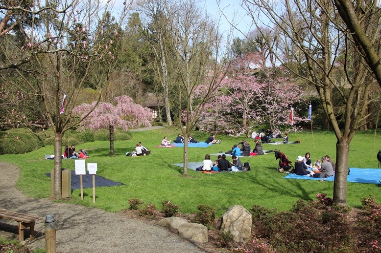 hanami-parc-oriental-maulevrier-49