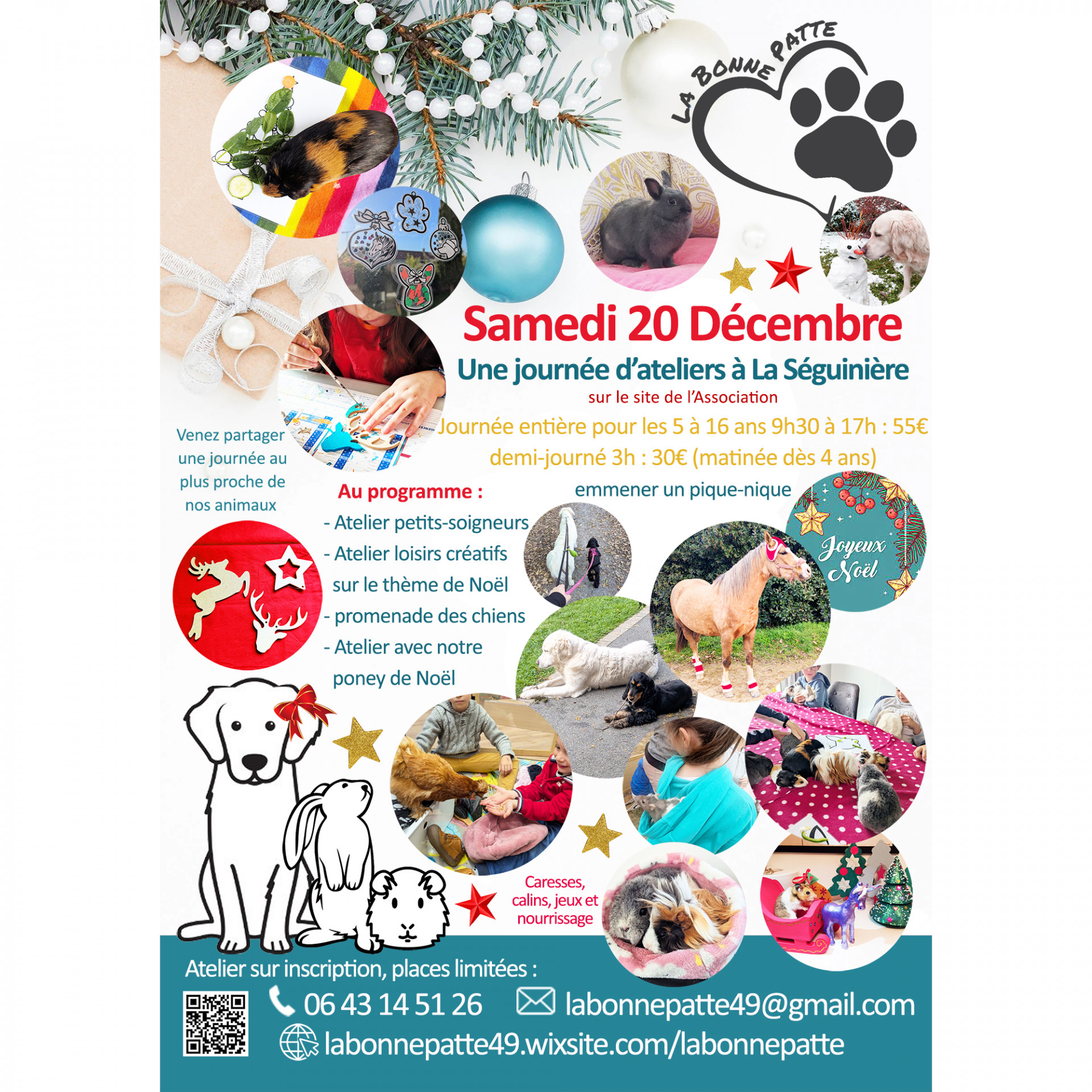 Journée d'Atelier avec les animaux, Samedi 20 Décembre 2025 - © La Bonne Patte Journée d'Atelier avec les animaux, Samedi 20 Décembre 2025